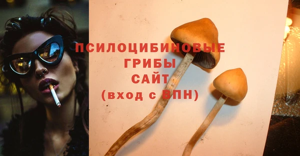 гидропоника Богданович