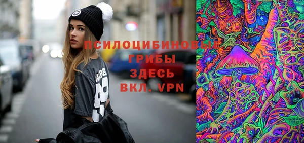 дмт Богородск