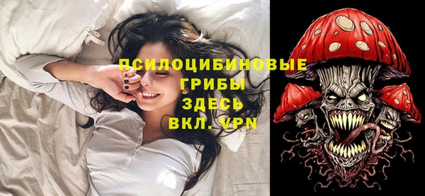 гидропоника Богданович