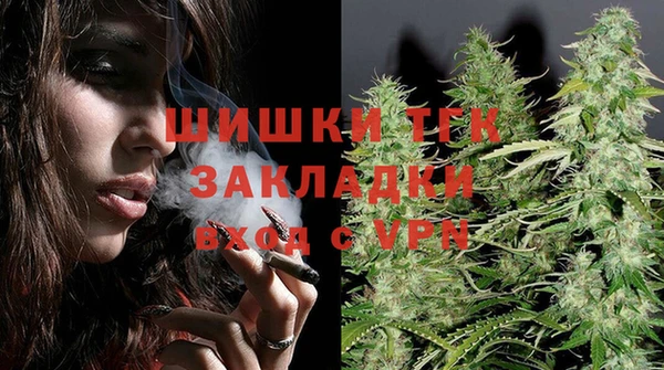 дмт Богородск
