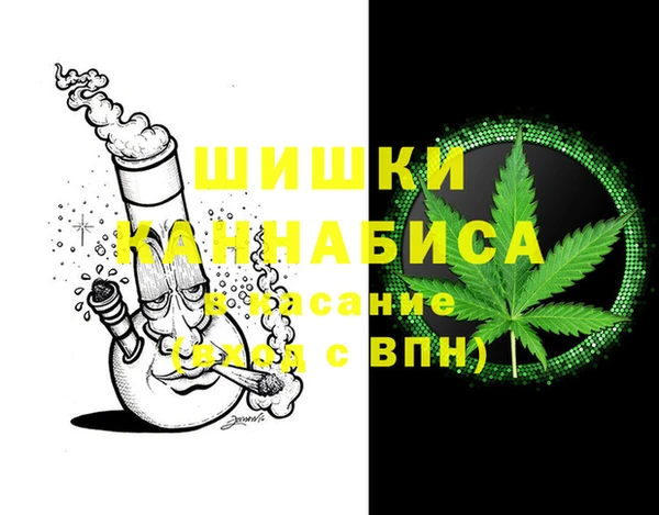 гидропоника Богданович
