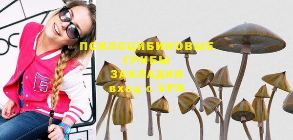 гидропоника Богданович